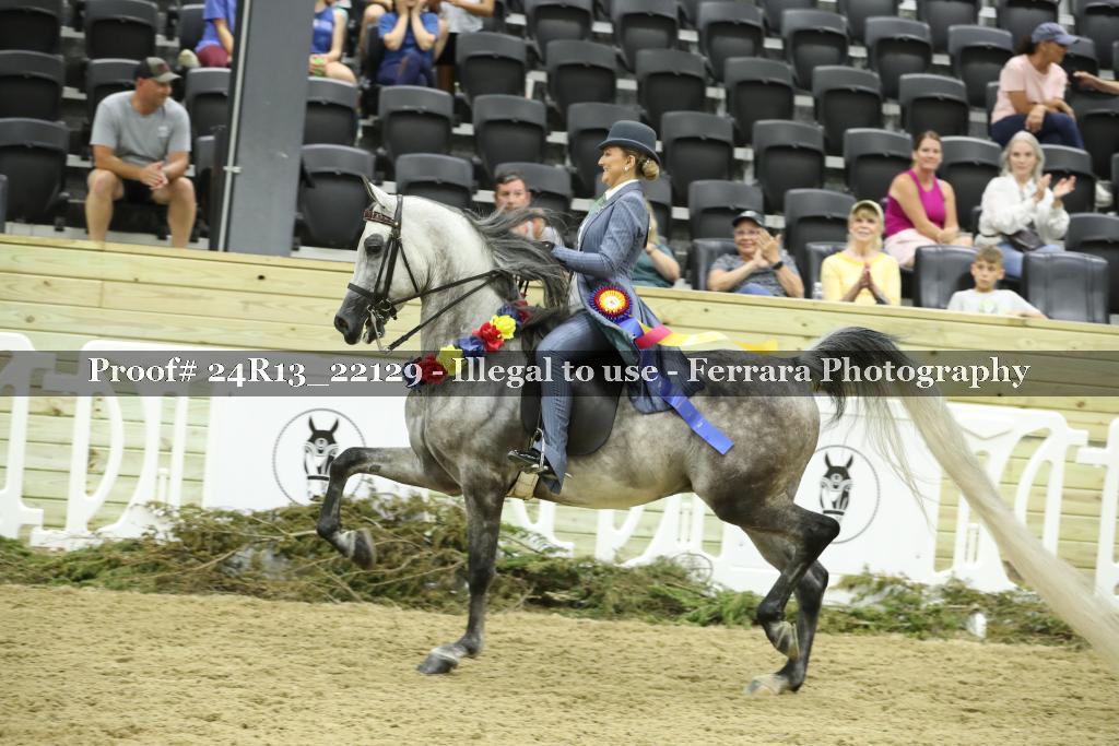 Proof 24R13_22129