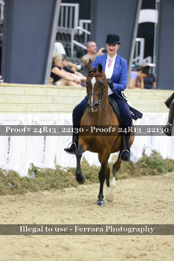 Proof 24R13_22130