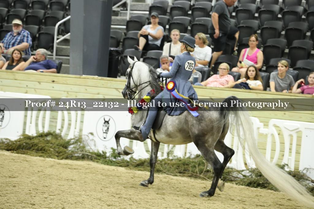 Proof 24R13_22132