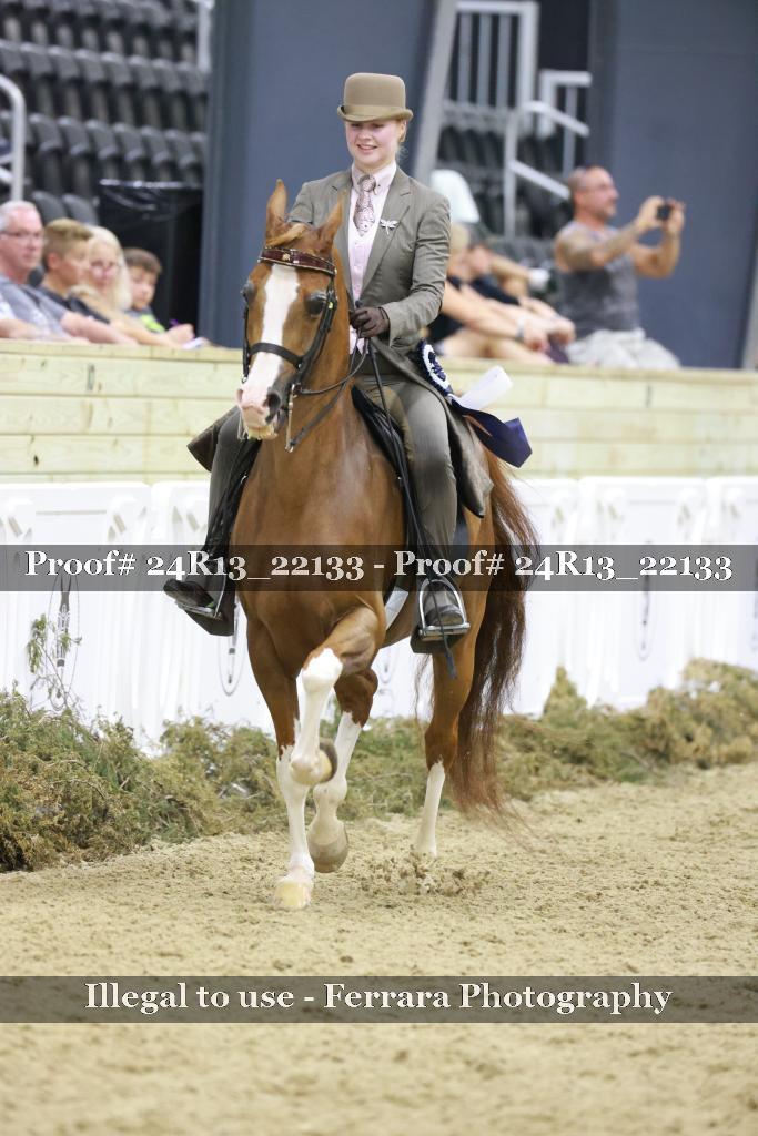 Proof 24R13_22133