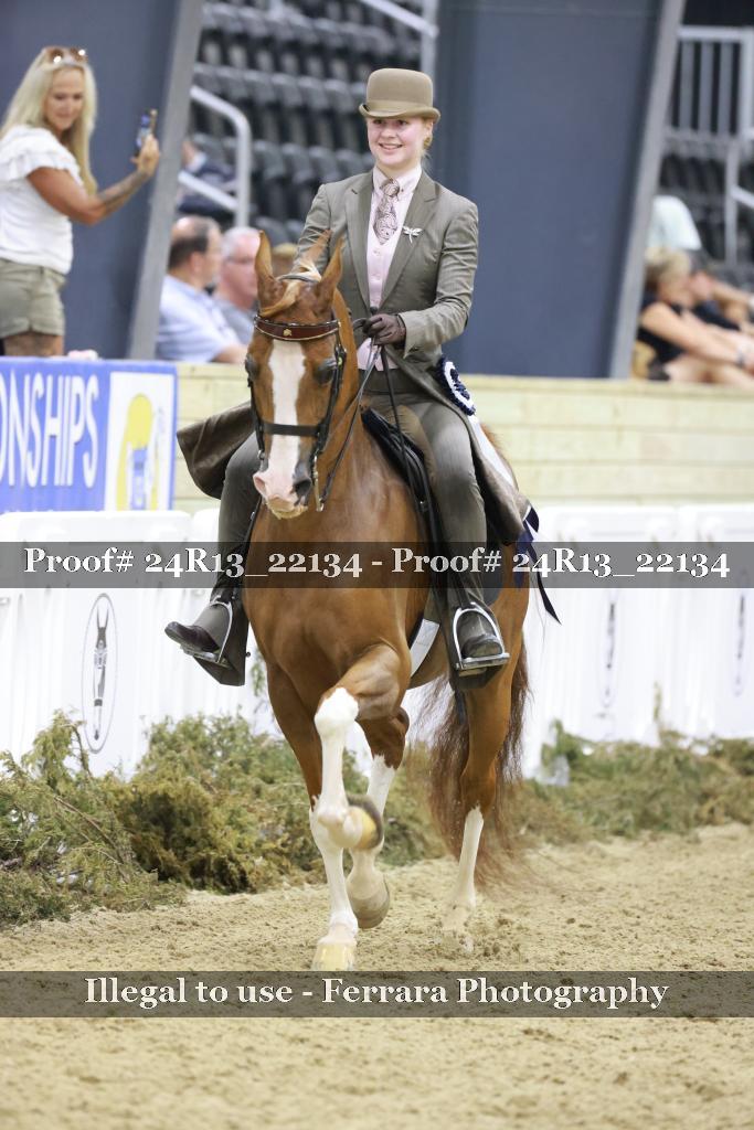 Proof 24R13_22134