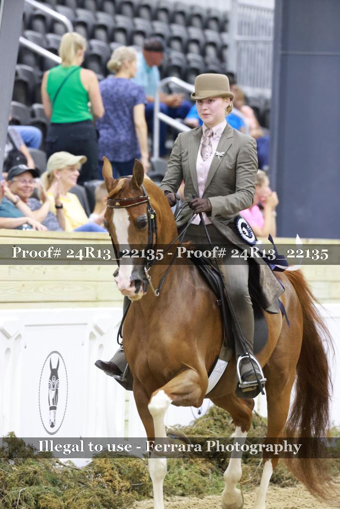 Proof 24R13_22135