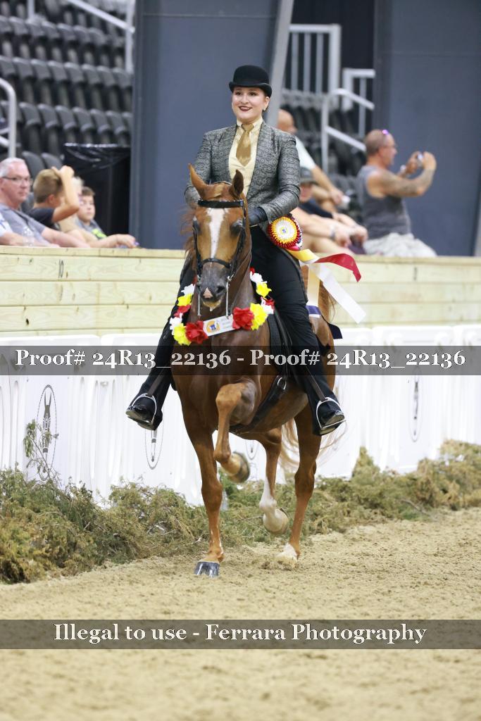 Proof 24R13_22136