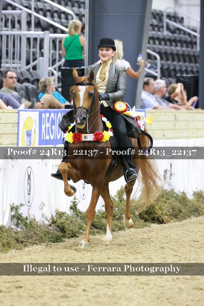 Proof 24R13_22137