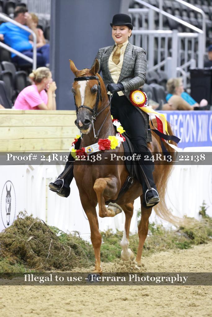 Proof 24R13_22138