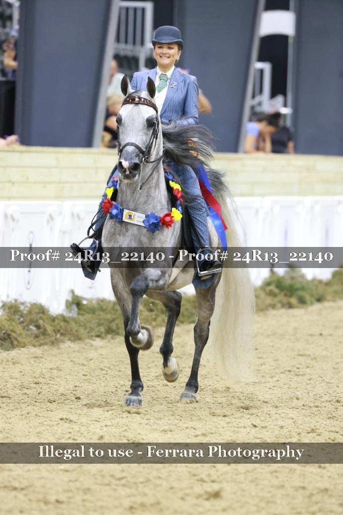 Proof 24R13_22140