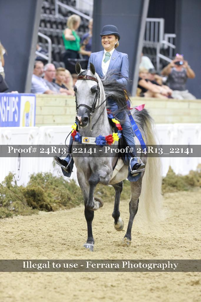 Proof 24R13_22141