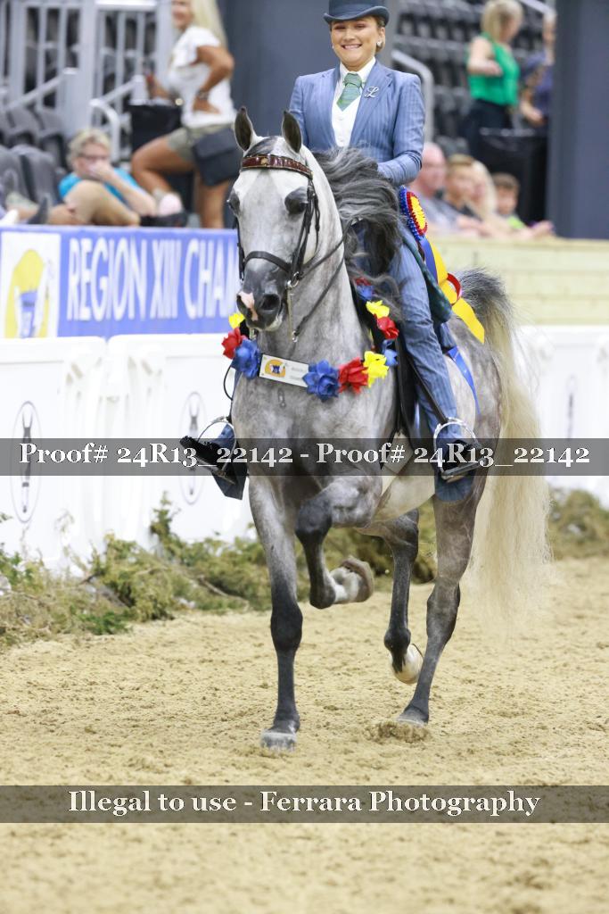 Proof 24R13_22142