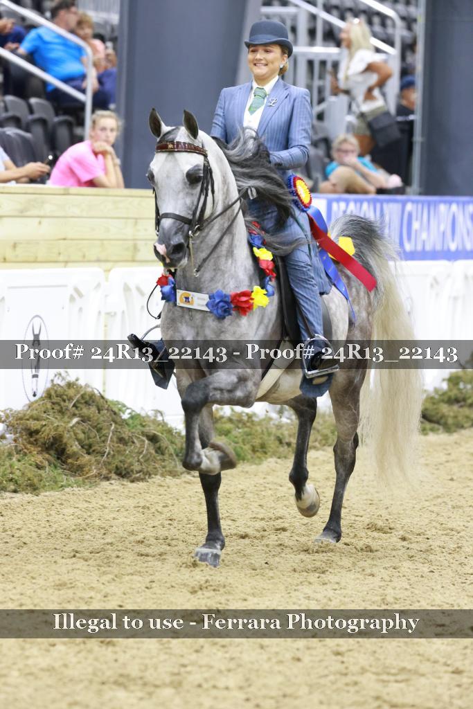 Proof 24R13_22143