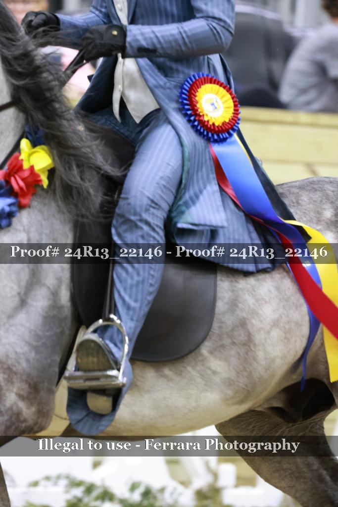 Proof 24R13_22146