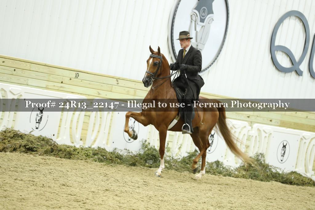 Proof 24R13_22147