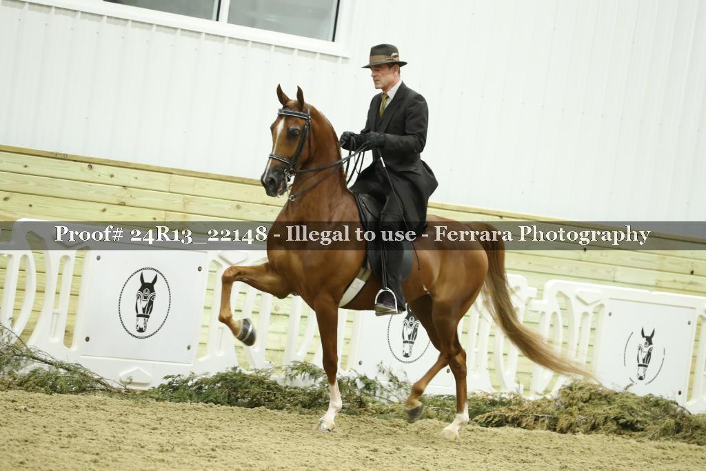 Proof 24R13_22148