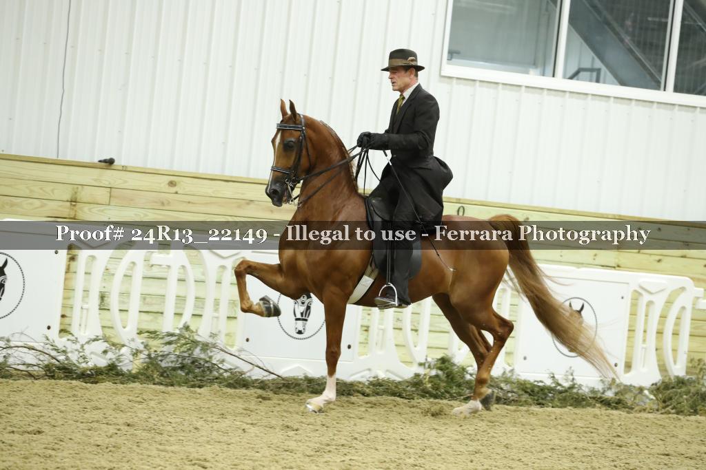 Proof 24R13_22149