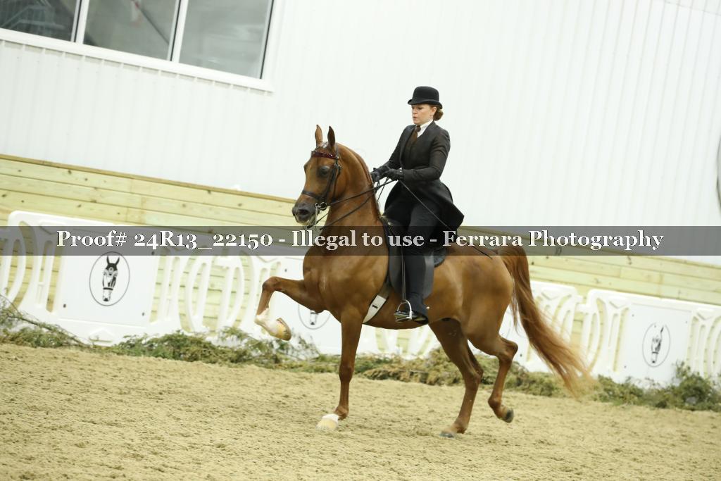 Proof 24R13_22150