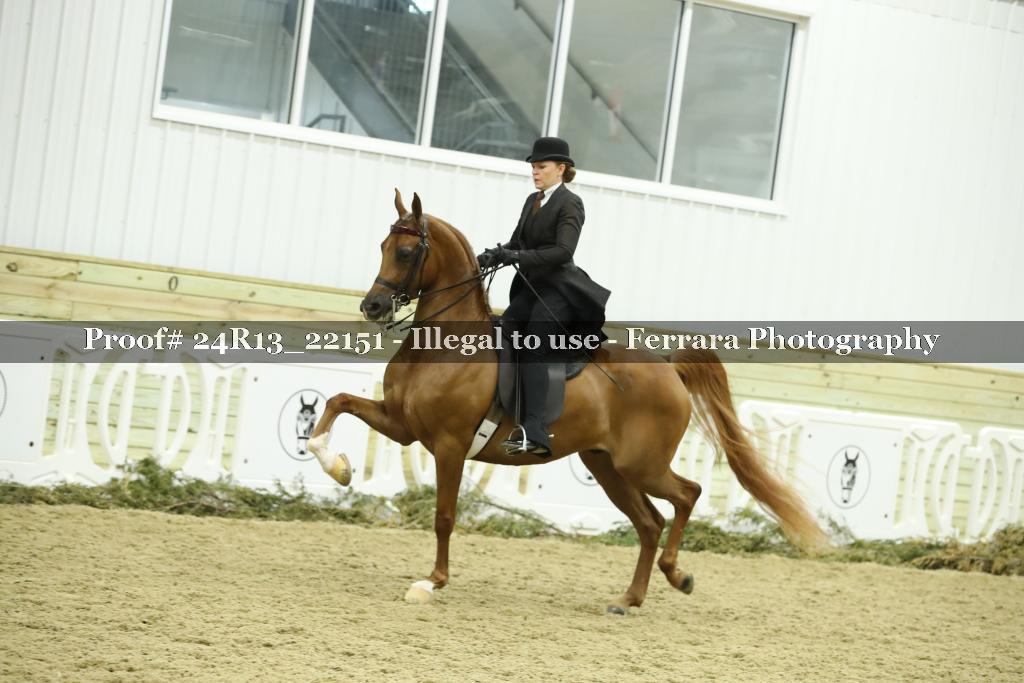 Proof 24R13_22151