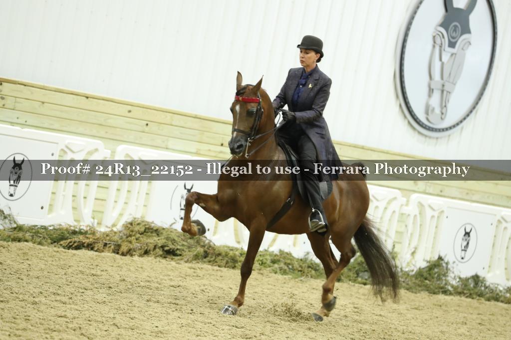 Proof 24R13_22152