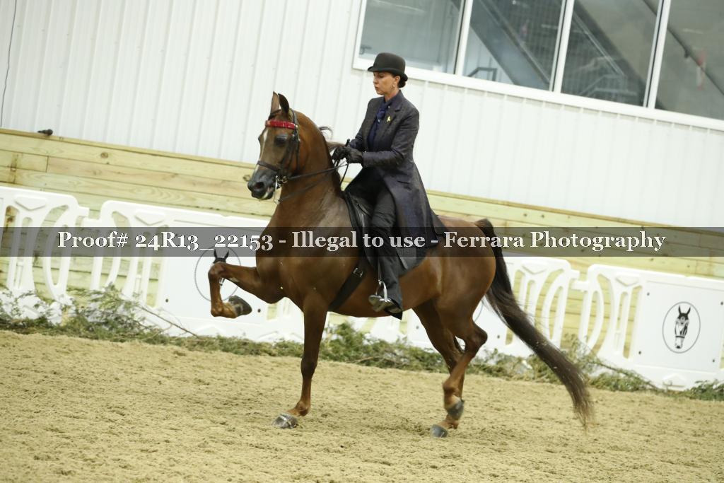 Proof 24R13_22153