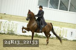 24R13_22153 proof