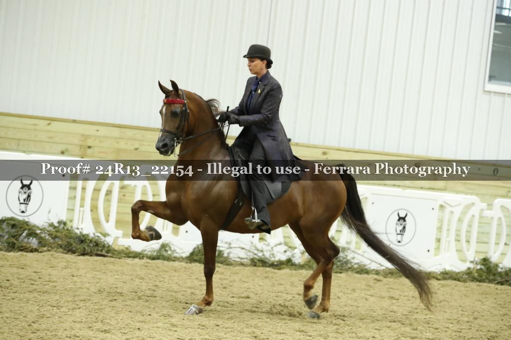 Proof 24R13_22154