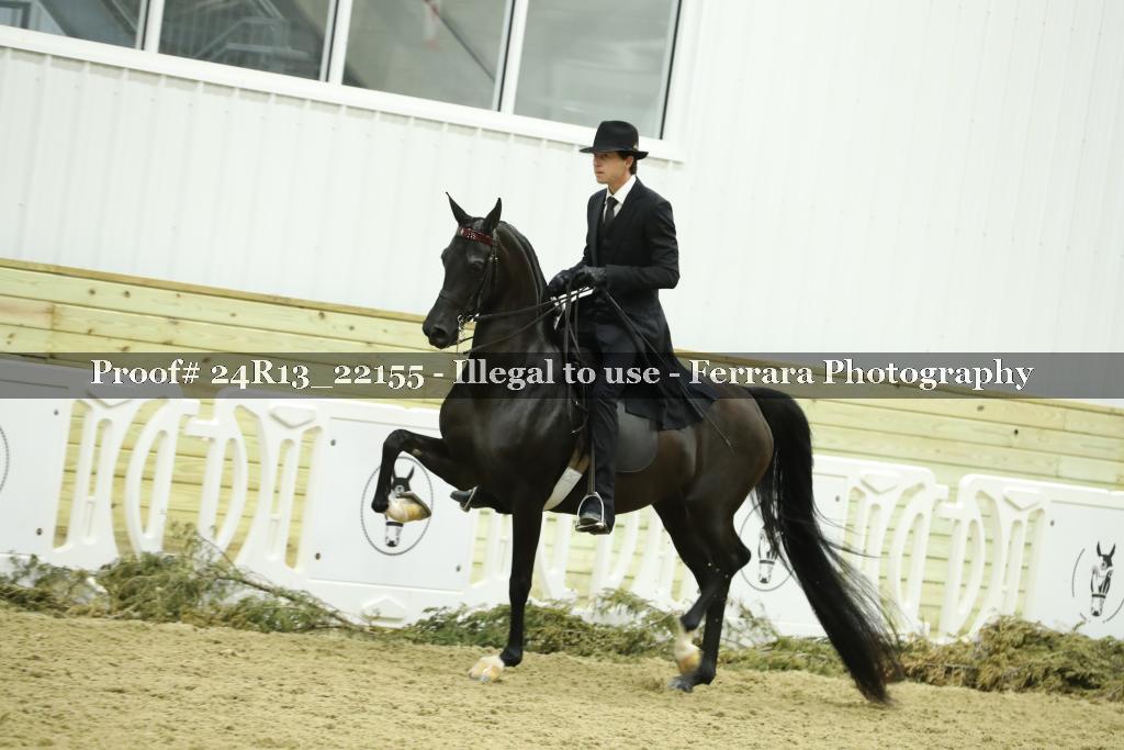 Proof 24R13_22155
