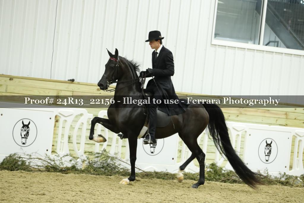 Proof 24R13_22156