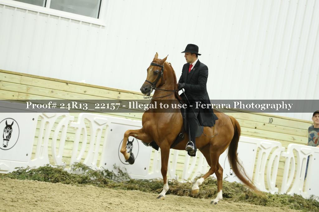 Proof 24R13_22157