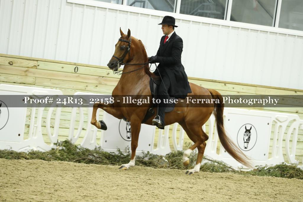Proof 24R13_22158