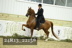 24R13_22158 proof