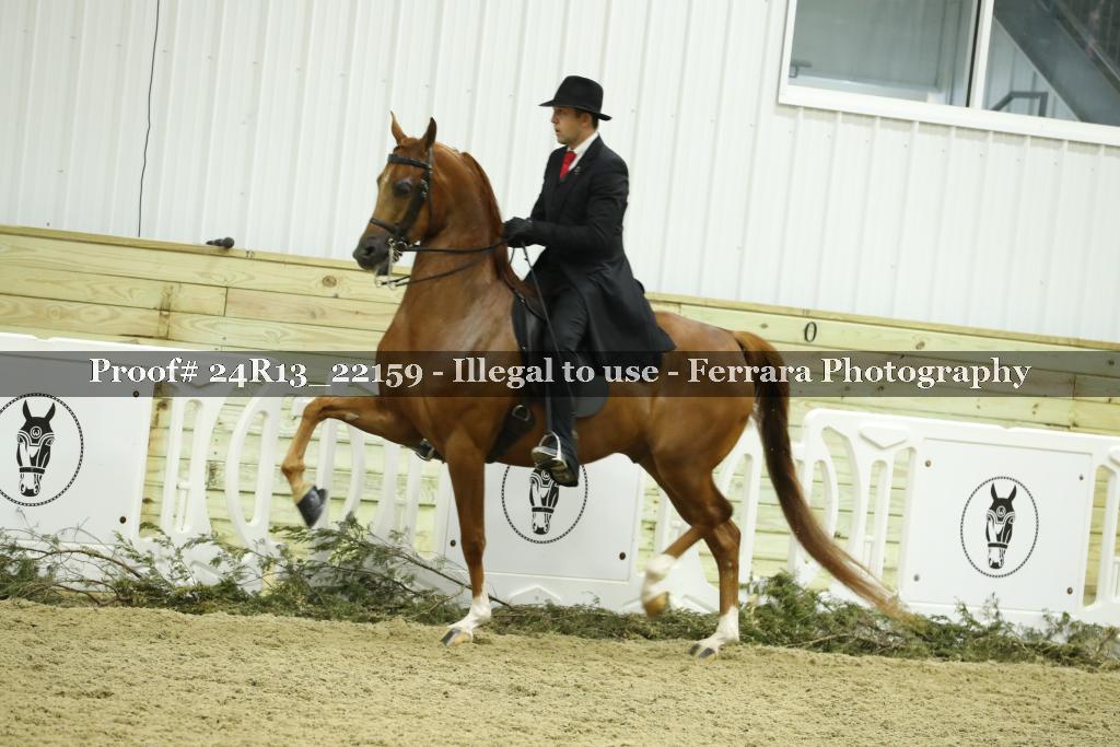 Proof 24R13_22159