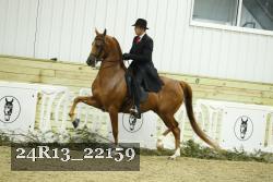 24R13_22159 proof