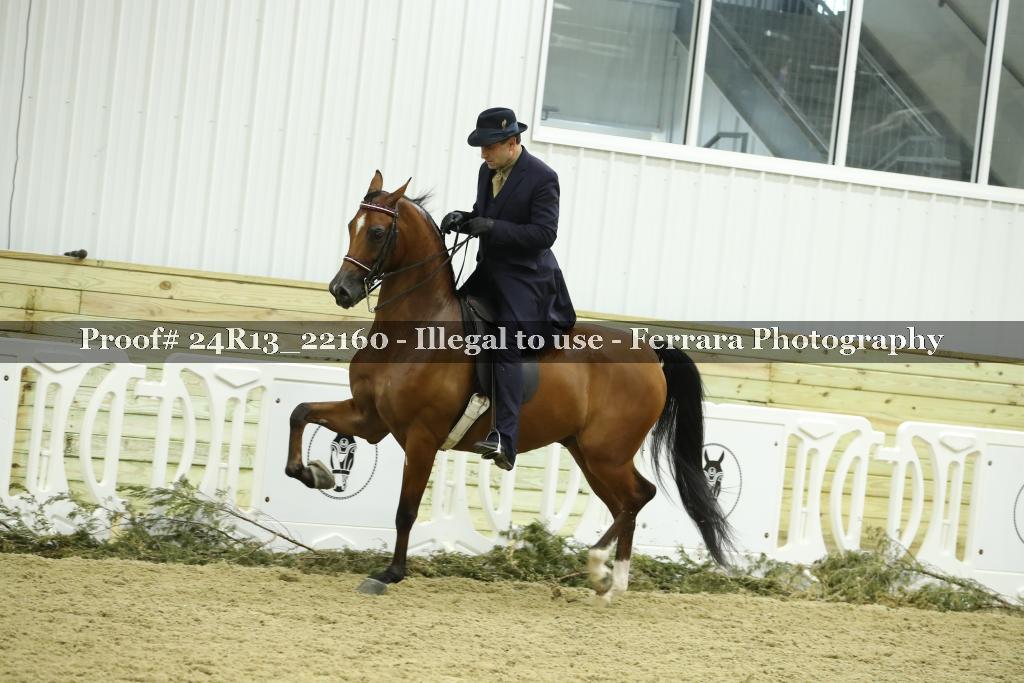 Proof 24R13_22160