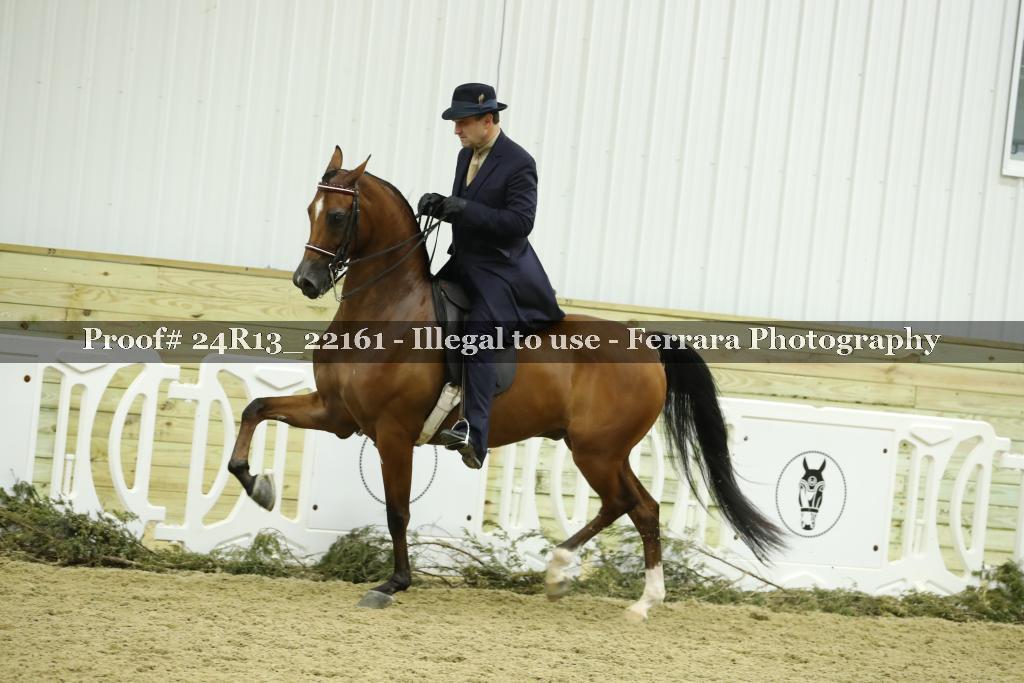 Proof 24R13_22161