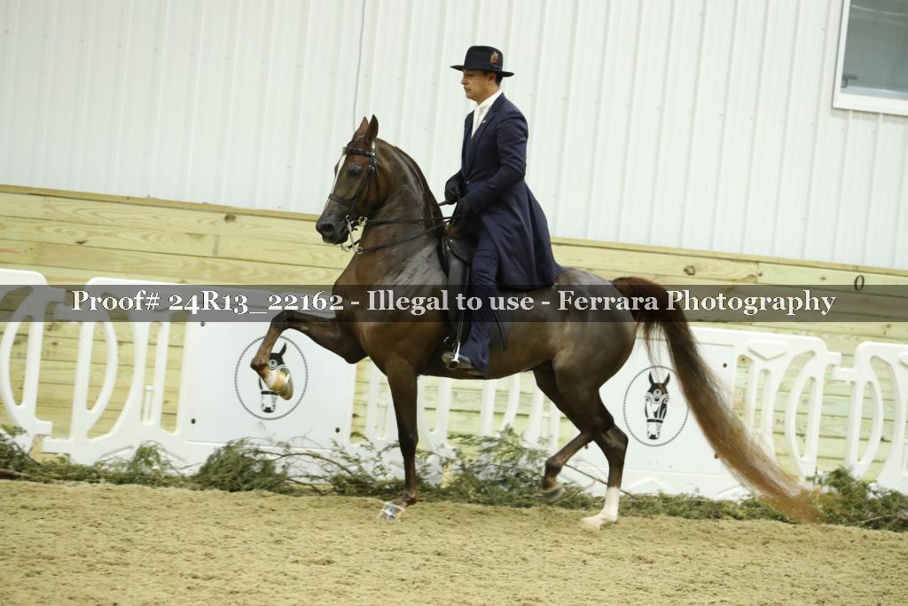 Proof 24R13_22162