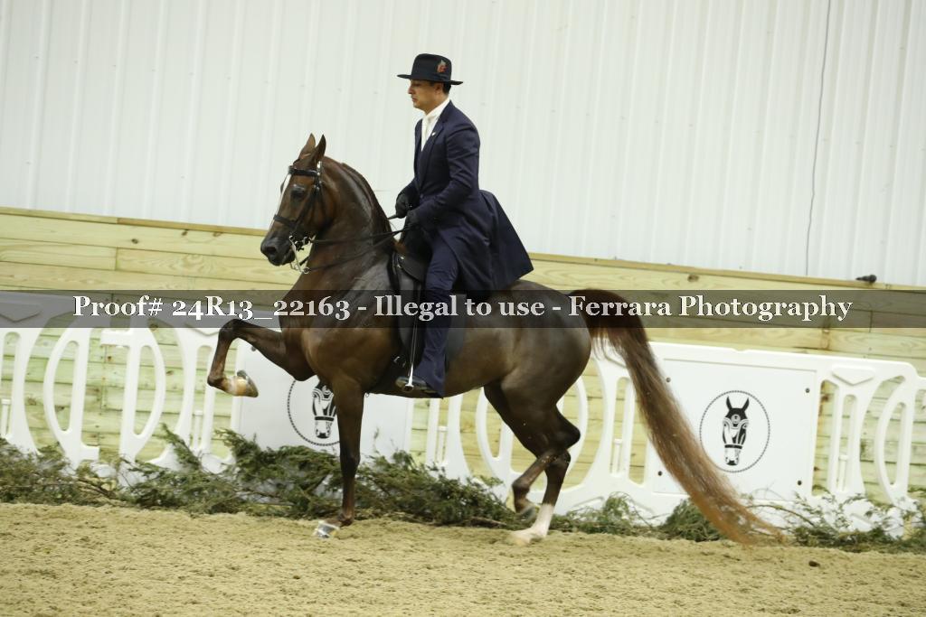 Proof 24R13_22163