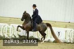 24R13_22163 proof