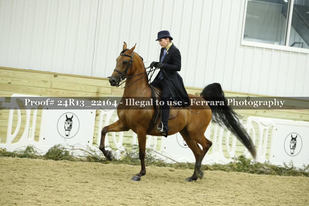 Proof 24R13_22164