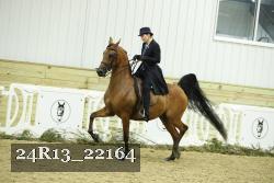 24R13_22164 proof