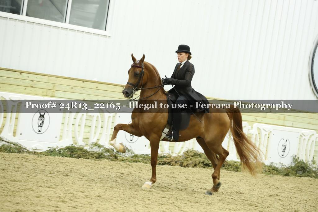 Proof 24R13_22165