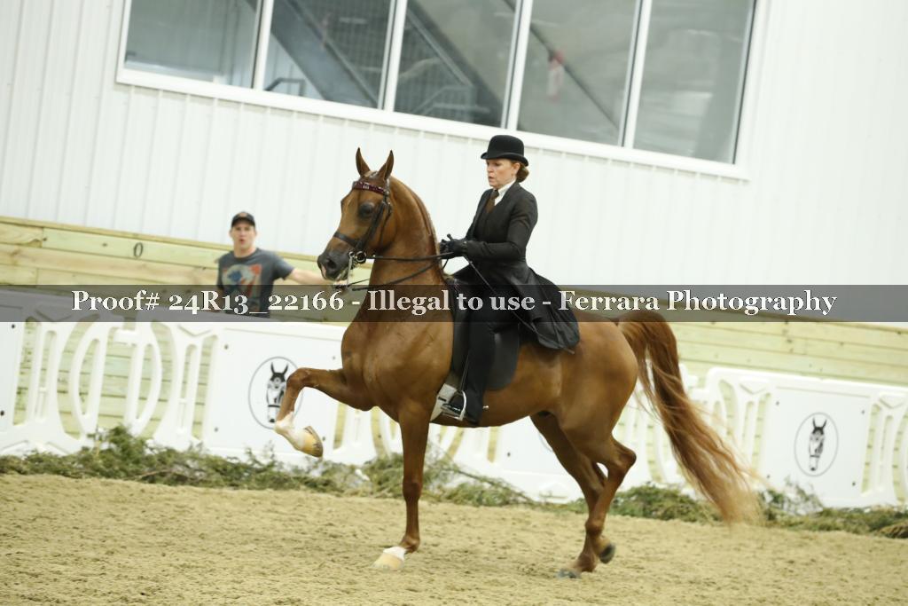 Proof 24R13_22166