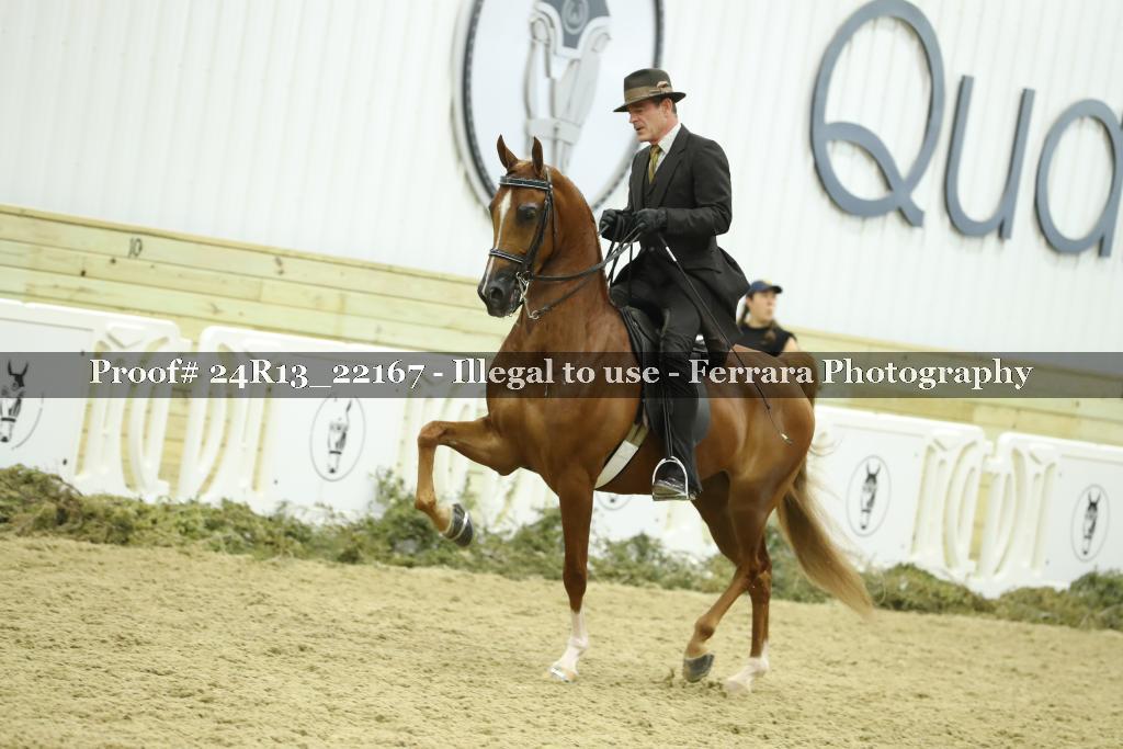 Proof 24R13_22167