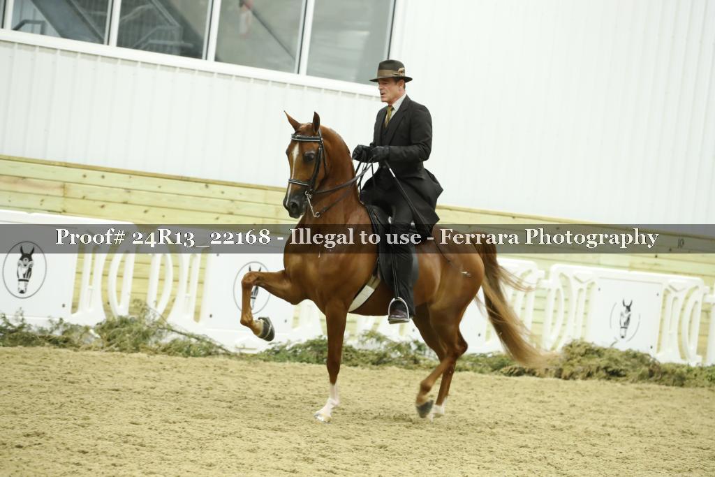 Proof 24R13_22168