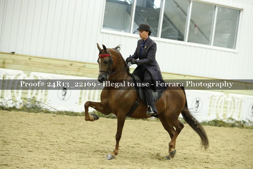 Proof 24R13_22169