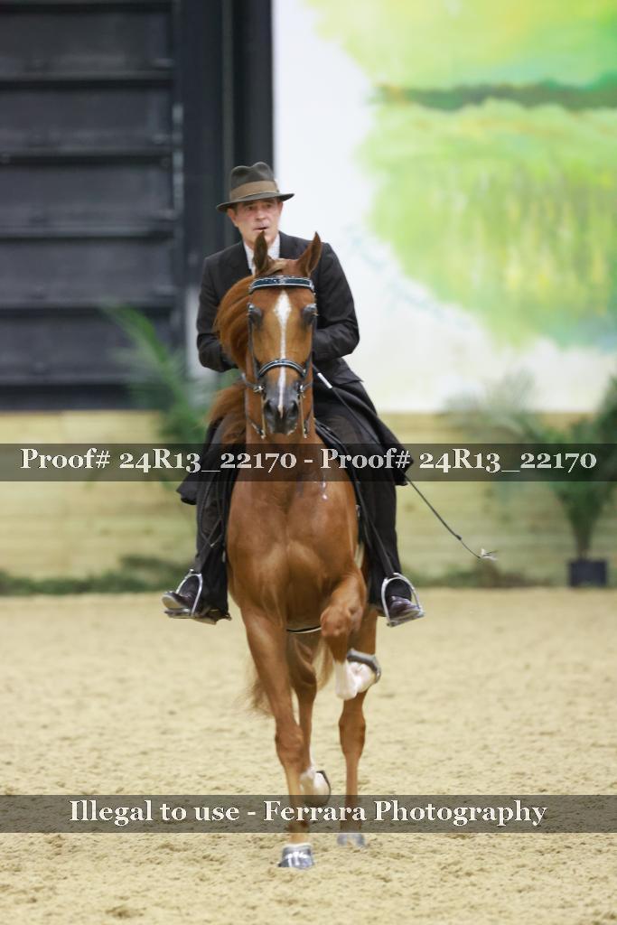 Proof 24R13_22170