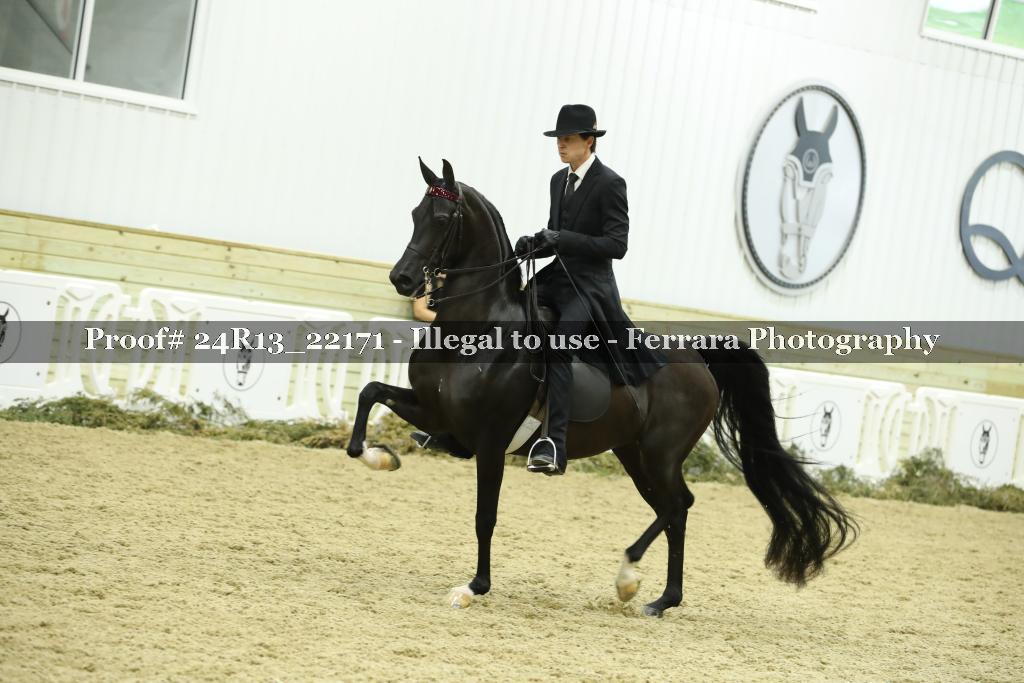 Proof 24R13_22171