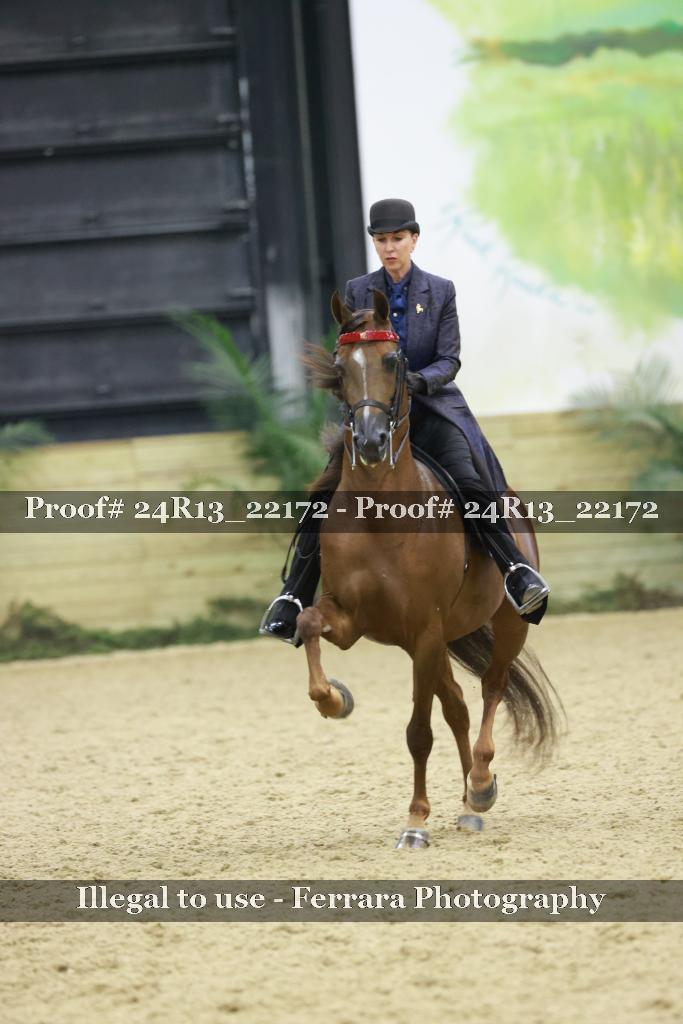 Proof 24R13_22172