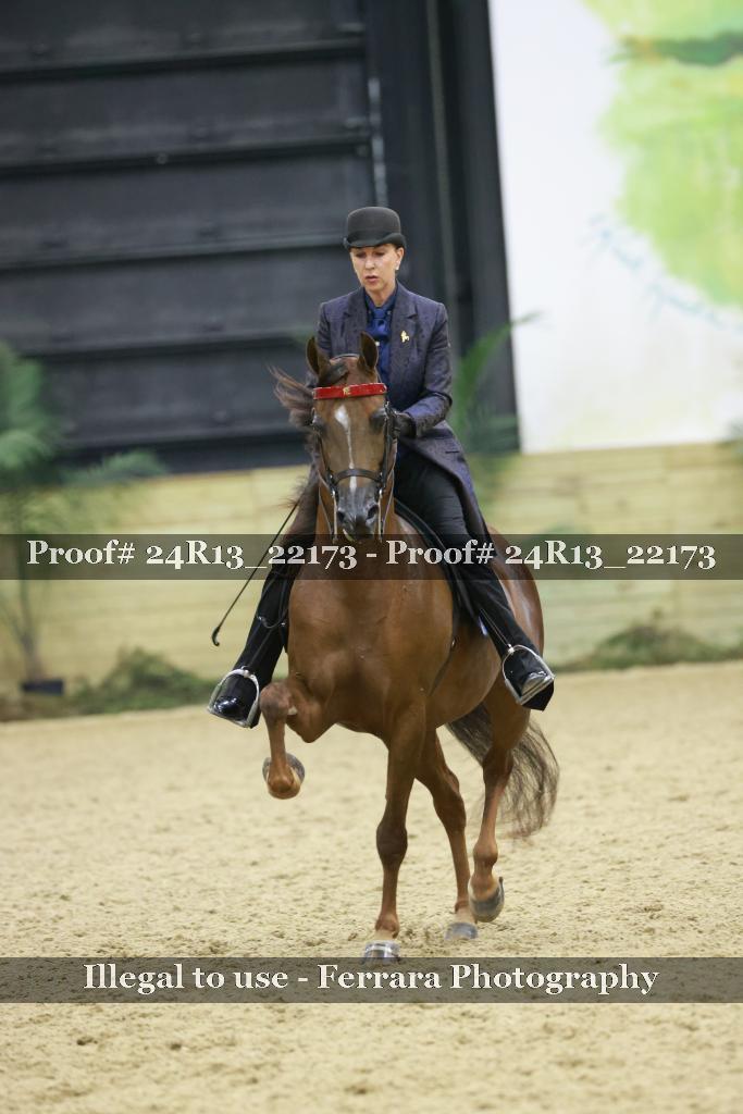 Proof 24R13_22173