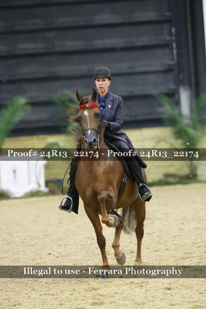 Proof 24R13_22174