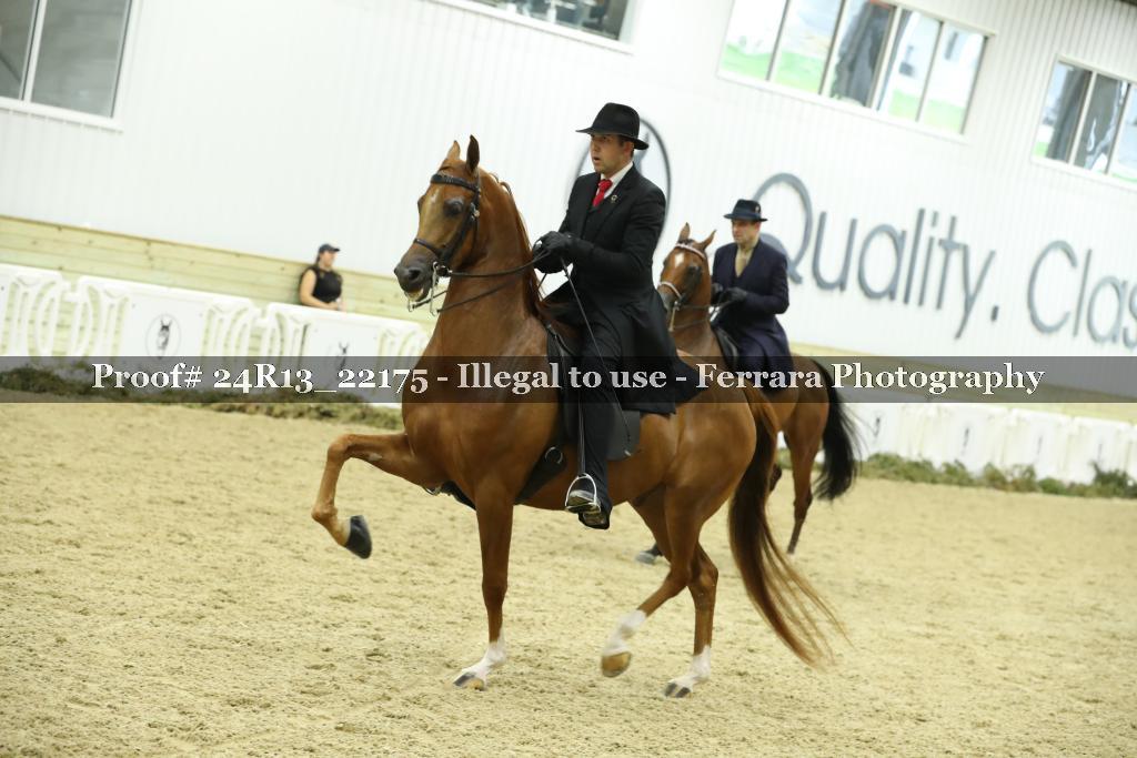 Proof 24R13_22175