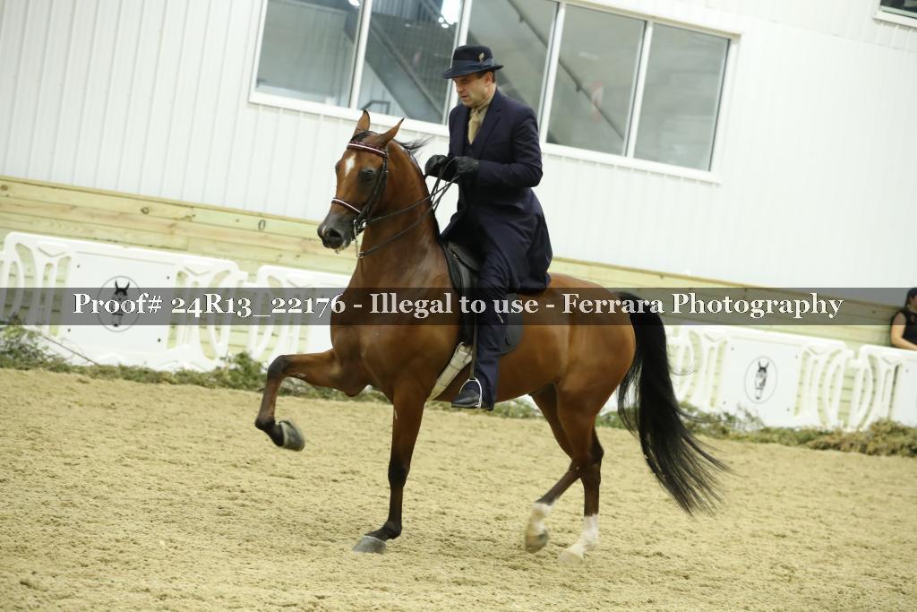 Proof 24R13_22176