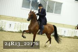 24R13_22176 proof